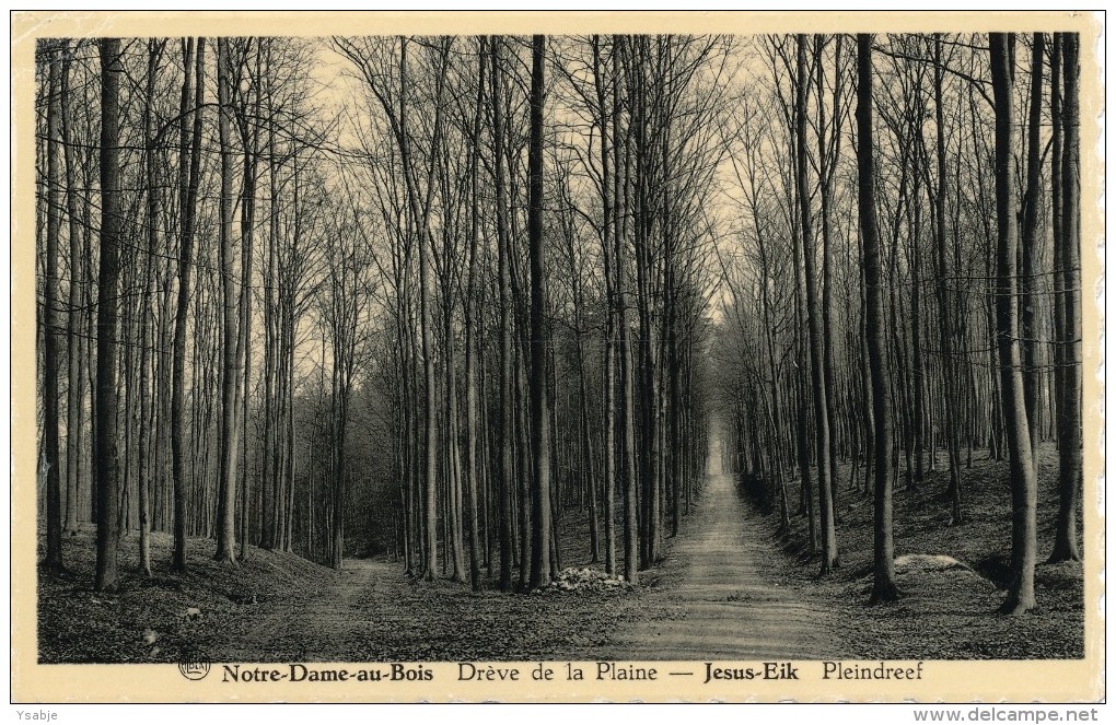Notre-Dame-au-Bois Drève De La Plaine / Jesus-Eik Pleindreef - Overijse