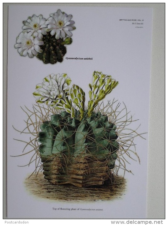 FLEURS / CACTUS . Modern Ukrainian Edition - 2014 -  Rare! - Cactus