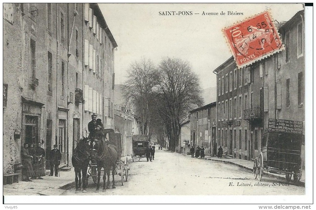 34 - SAINT  PONS - T.Belle Vue De L'Avenue De Béziers ( Comme Neuve ) , Attelages Avec Chevaux - Saint-Pons-de-Mauchiens