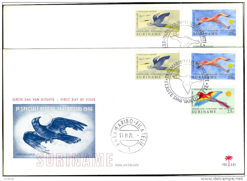BIRDS-AMERICAN FLAMINGOS & OTHERS-VARIETY-FDC-SURINAME-1971-SCARCE-BX1-147 - Flamants