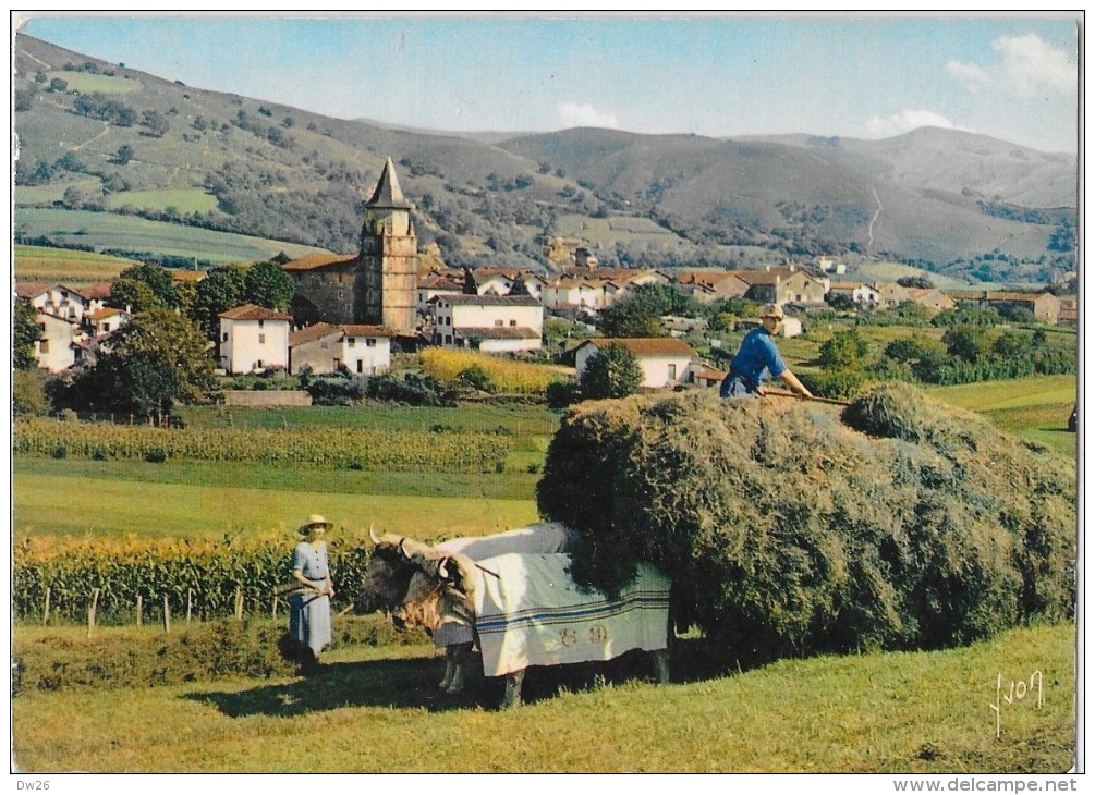 Aïnhoa (Basses-Pyrénées) - Village Type Du Pays Basque - Attelage De Boeufs - Edition Yvon - Carte E.K.B. N°1024 - Ainhoa