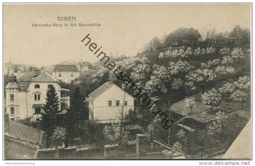 Guben - Kaminsky Berg In Der Baumblüte - Verlag Julius Rothe Guben - Guben