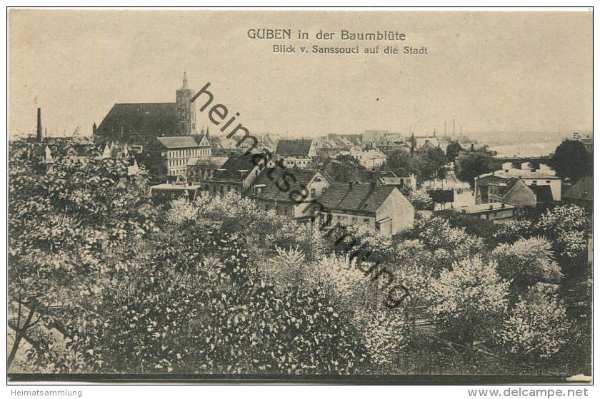 Guben In Der Baumblüte - Blick Von Sanssouci Auf Die Stadt - Verlag Julius Rothe Guben - Guben