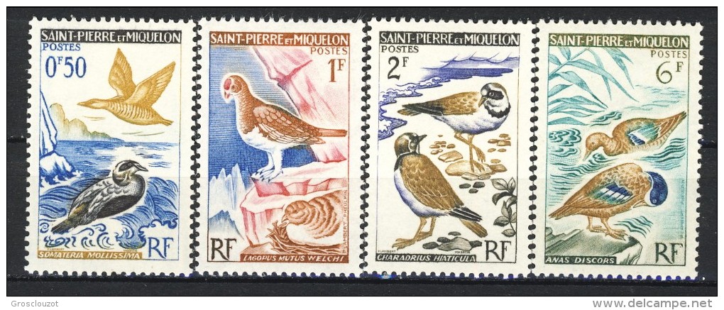 S. Pierre Et Miquelon 1963 Serie N. 364-365 Uccelli MNH Catalogo € 8,80 - Nuovi