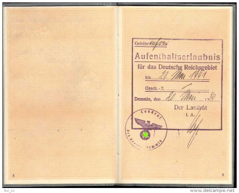 Fremdenpass Reisepass DR 1938 Demmin Passport Germany Third Reich - 1939-45