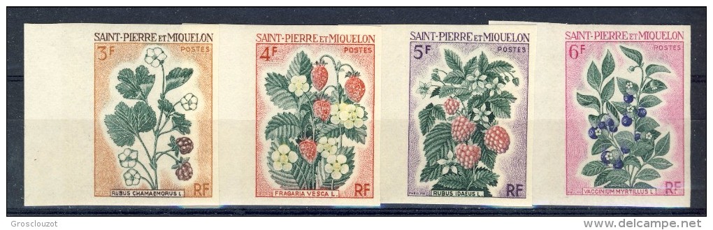 S. Pierre Et Miquelon 1970 Serie N. 401-404 Fiori MNH GO NON DENTELLATO Catalogo € 42,50 - Nuovi