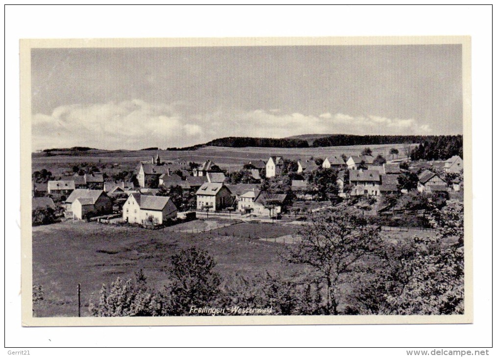 5418 SELTERS - FREILINGEN, Panorama,1940 - Montabaur
