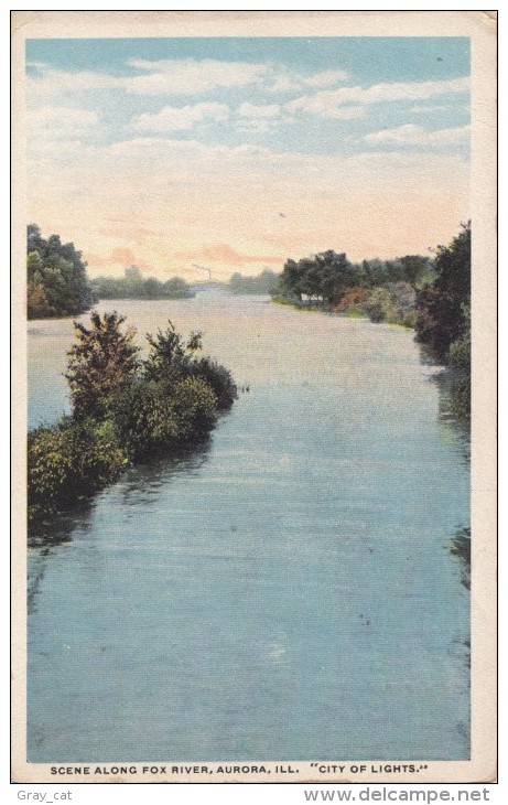 Scene Along Fox River, Aurora, Illinois, City Of Lights, 1910s Used Postcard [16988] - Aurora (Ilinois)