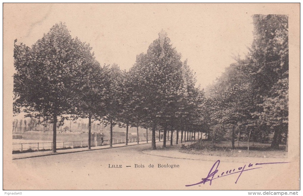 Cp , 59 , LILLE , Bois De Boulogne - Lille