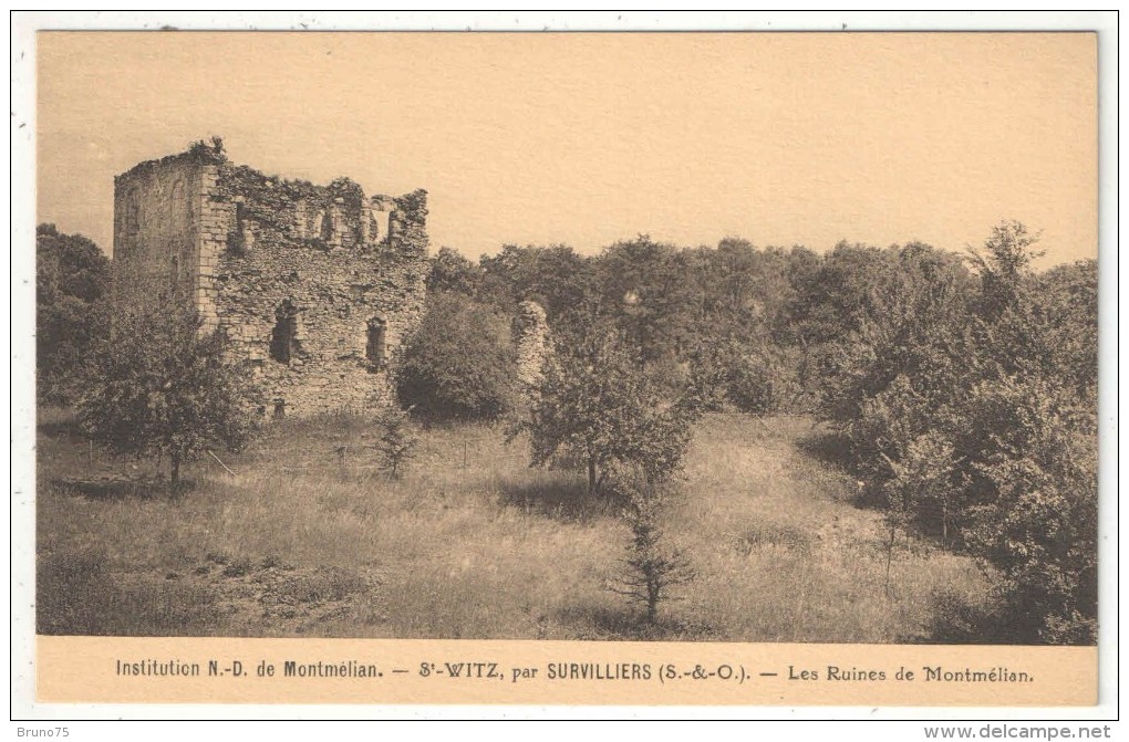 95 - SAINT-WITZ Par Survilliers - Institution N.-D. De Montmelian - Les Ruines De Montmélian - Saint-Witz