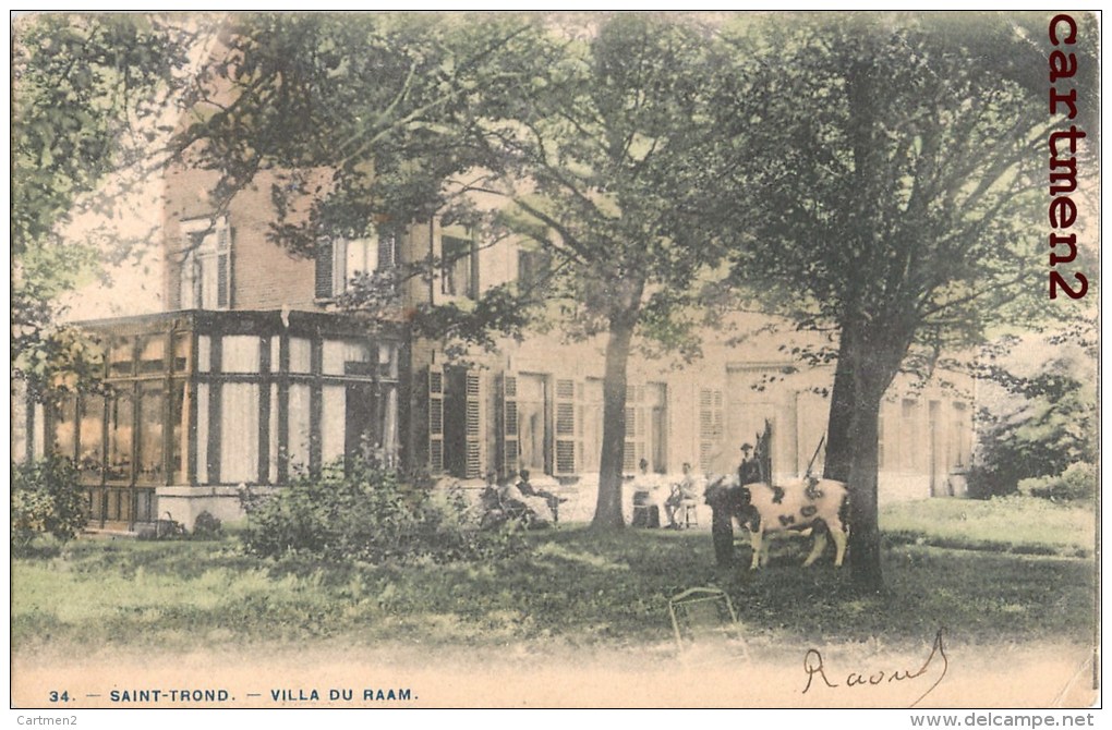 SAINT-TROND VILLA DU RAAM BELGIQUE 1900 - Sint-Truiden