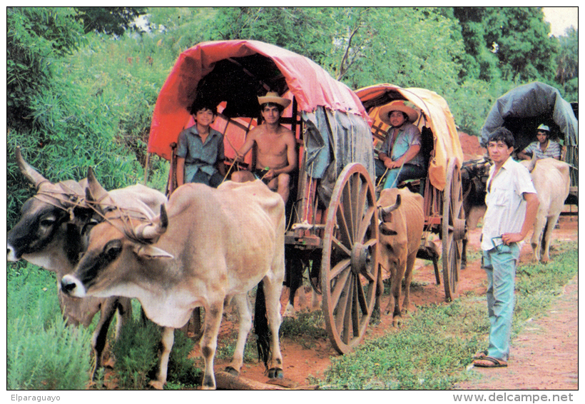 POSTAL PARAGUAY - CARRETA ESTIRADA POR BUEYES - Paraguay