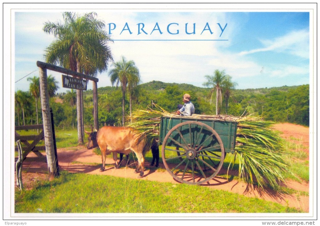 POSTAL PARAGUAY - CARRETA ESTIRADA POR BUEYES - Paraguay