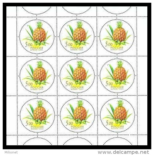 SALE!!! RARE!!! RUSSIA RUSIA RUSSIE RUSSLAND 2003 Gifts Of Nature -FRUITS- 5 Sheetlets MiNr 1113-17 CV=60€ ** - Ganze Bögen