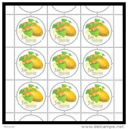 SALE!!! RARE!!! RUSSIA RUSIA RUSSIE RUSSLAND 2003 Gifts Of Nature -FRUITS- 5 Sheetlets MiNr 1113-17 CV=60€ ** - Feuilles Complètes
