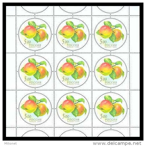 SALE!!! RARE!!! RUSSIA RUSIA RUSSIE RUSSLAND 2003 Gifts Of Nature -FRUITS- 5 Sheetlets MiNr 1113-17 CV=60€ ** - Hojas Completas