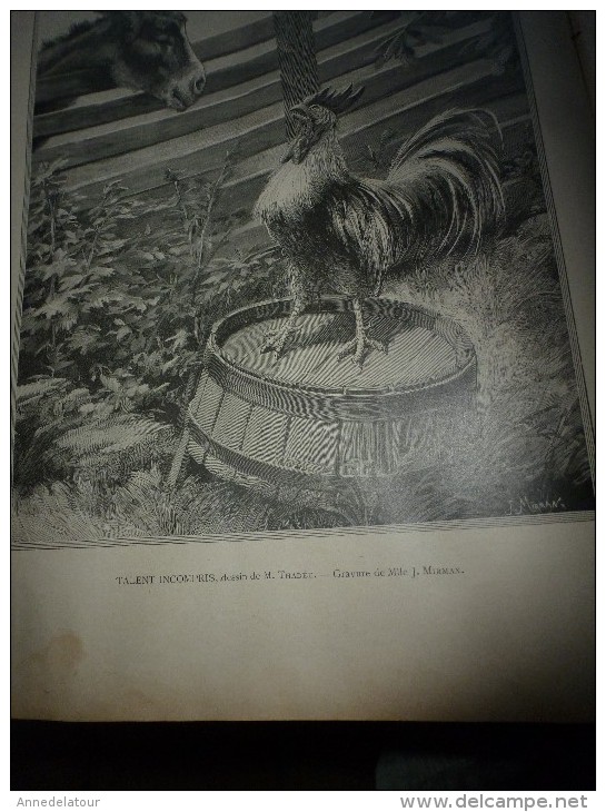 1895 LA FRANCE ILLUSTREE:Femmes De Pêcheurs(grav);Miséreux De Paris;St-Julien-le-Pauvre;Le COQ Et L'ÂNE(grav);Humour- - 1850 - 1899