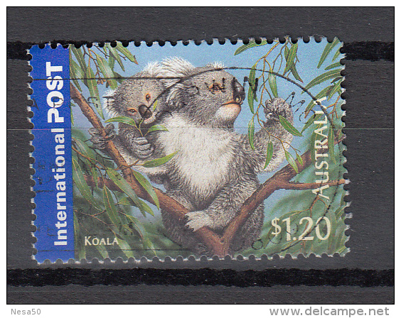 Australie 2005 Mi Nr  2459 Koala - Gebruikt