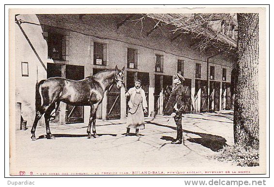 65 - Hautes Pyrénées / Haras De TARBES : Les Boxes Des Pur-sang - ... BULAND-BALA ,... Elevage Du Docteur Paul Sempé. - Tarbes