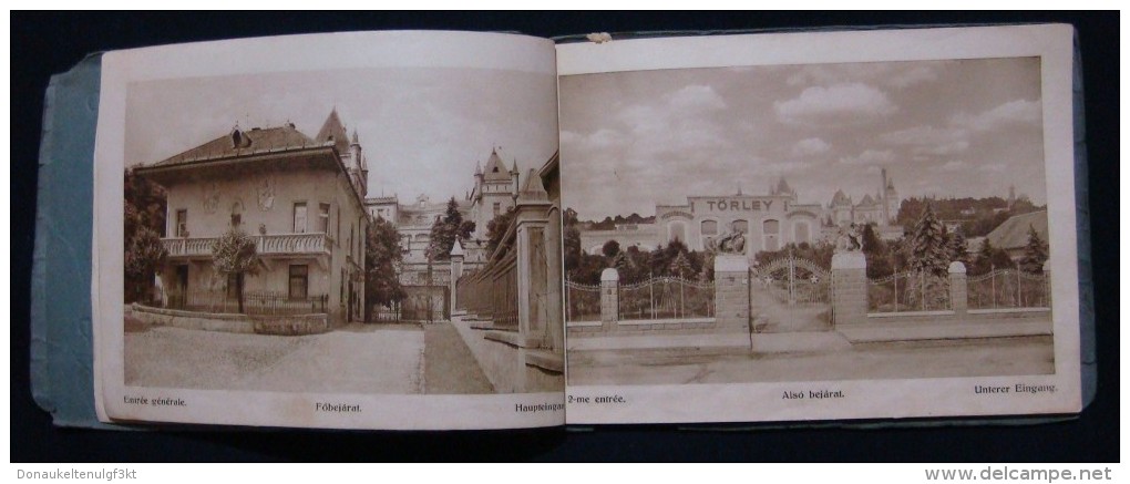 RARE HUNGARY *TORLEY* CHAMPAGNE FACTORY 1880 - 1930, PEZSGOBORGYAR - BUDAFOK, BOOK IN GERMAN & FRENCH LANGUAGE.37 IMAGES - Publicités