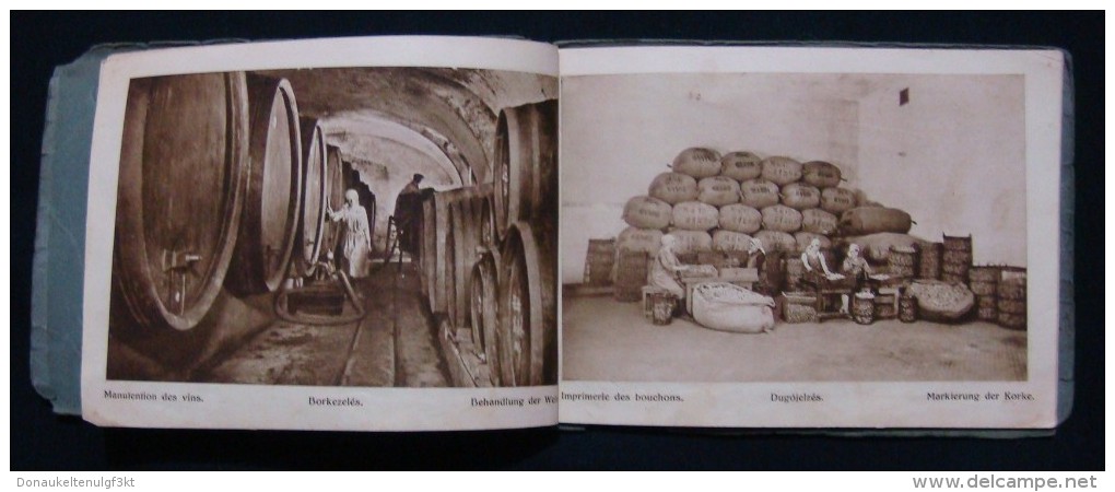 RARE HUNGARY *TORLEY* CHAMPAGNE FACTORY 1880 - 1930, PEZSGOBORGYAR - BUDAFOK, BOOK IN GERMAN & FRENCH LANGUAGE.37 IMAGES