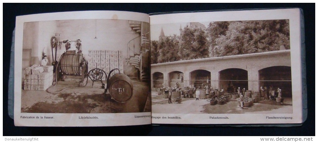 RARE HUNGARY *TORLEY* CHAMPAGNE FACTORY 1880 - 1930, PEZSGOBORGYAR - BUDAFOK, BOOK IN GERMAN & FRENCH LANGUAGE.37 IMAGES