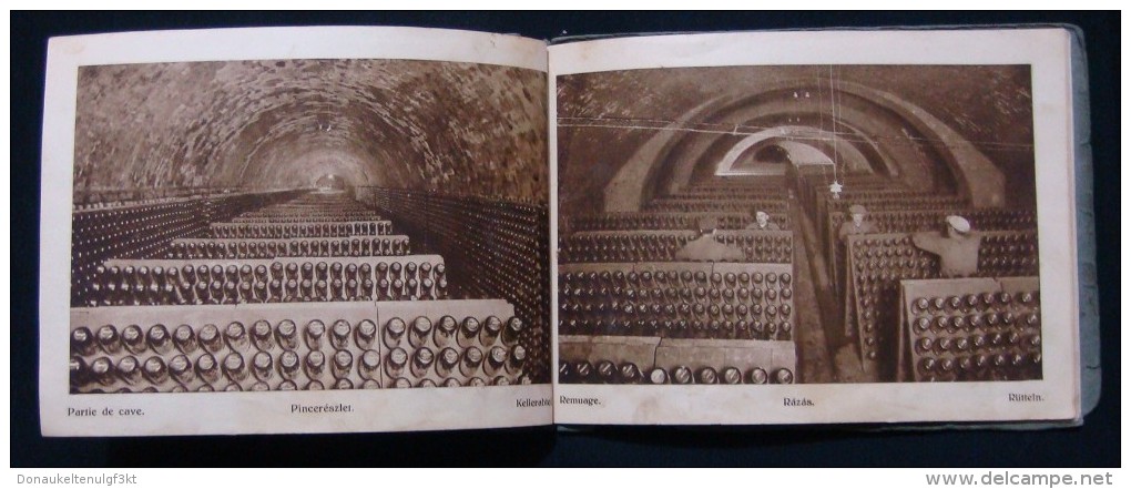 RARE HUNGARY *TORLEY* CHAMPAGNE FACTORY 1880 - 1930, PEZSGOBORGYAR - BUDAFOK, BOOK IN GERMAN & FRENCH LANGUAGE.37 IMAGES