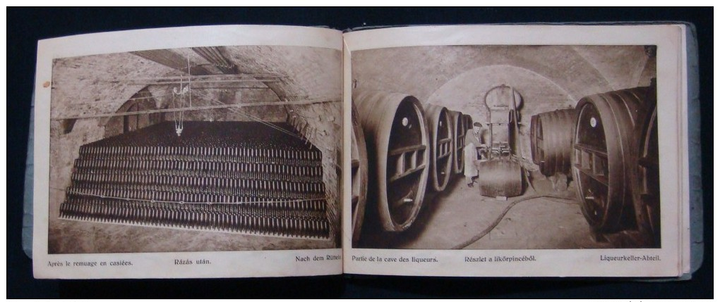 RARE HUNGARY *TORLEY* CHAMPAGNE FACTORY 1880 - 1930, PEZSGOBORGYAR - BUDAFOK, BOOK IN GERMAN & FRENCH LANGUAGE.37 IMAGES