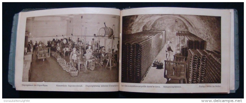 RARE HUNGARY *TORLEY* CHAMPAGNE FACTORY 1880 - 1930, PEZSGOBORGYAR - BUDAFOK, BOOK IN GERMAN & FRENCH LANGUAGE.37 IMAGES