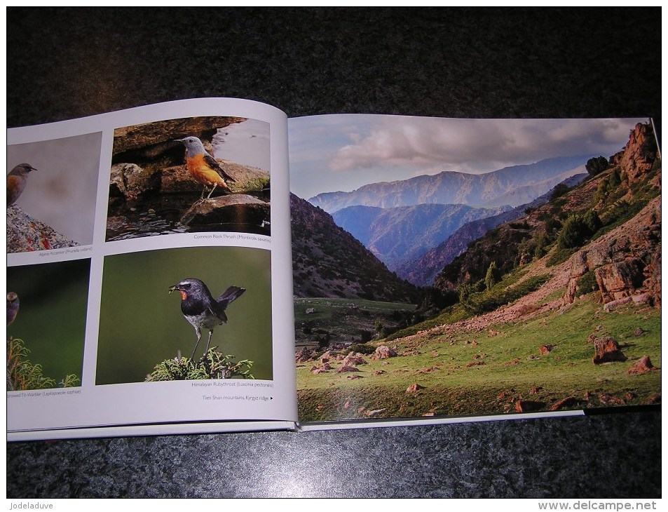 WILDLIFE KAZAKHSTAN Voyage Asie Photographies Photo Nature Animaux Montagne Oiseaux Papillons Loup Gibier Faune - Azië