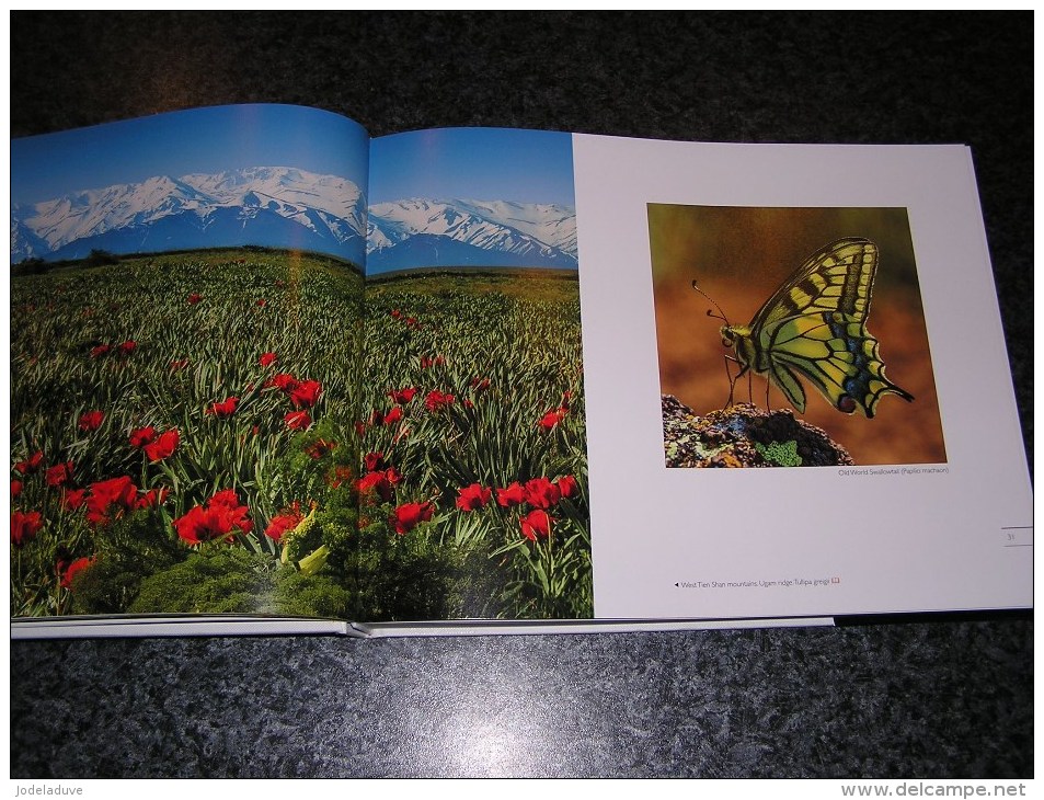 WILDLIFE KAZAKHSTAN Voyage Asie Photographies Photo Nature Animaux Montagne Oiseaux Papillons Loup Gibier Faune