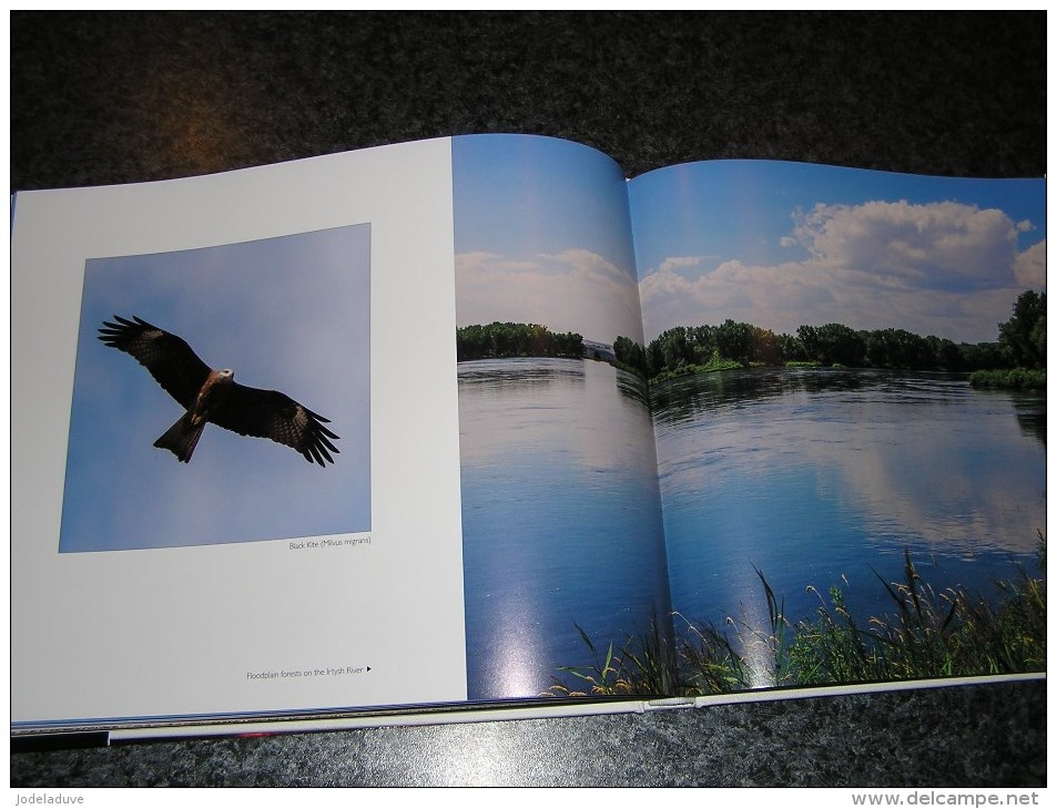 WILDLIFE KAZAKHSTAN Voyage Asie Photographies Photo Nature Animaux Montagne Oiseaux Papillons Loup Gibier Faune