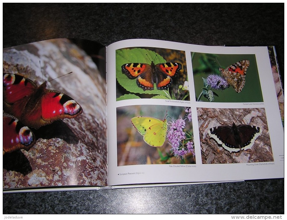 WILDLIFE KAZAKHSTAN Voyage Asie Photographies Photo Nature Animaux Montagne Oiseaux Papillons Loup Gibier Faune