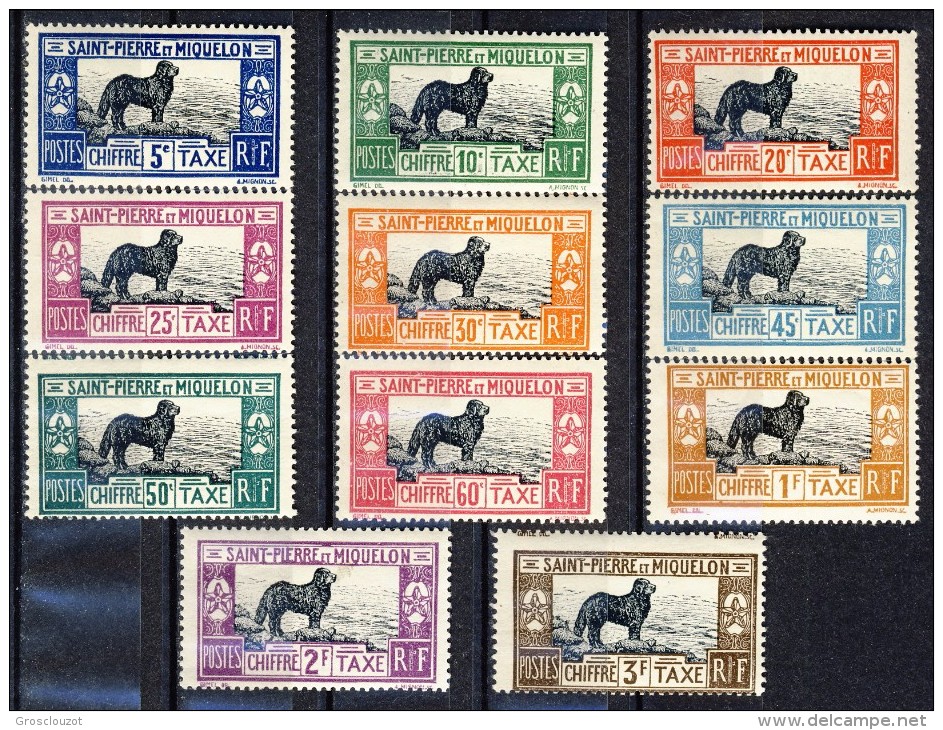 S. Pierre Et Miquelon Tasse 1932 Serie N. 21-31 Cane Terranova MVLH GO Catalogo € 210 - Timbres-taxe