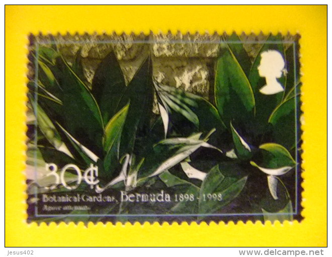 BERMUDA - BERMUDES - 1998 Yvert Nº 765 º FU - Bermudas