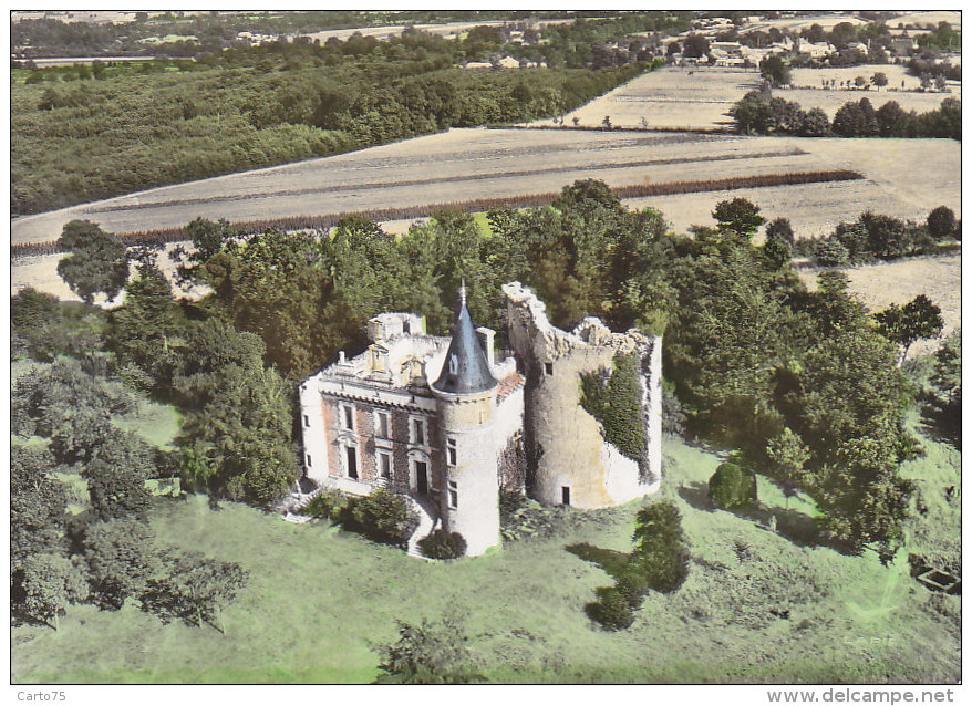 Boussais 79 - Vue Aérienne Ruines Du Château - Autres & Non Classés