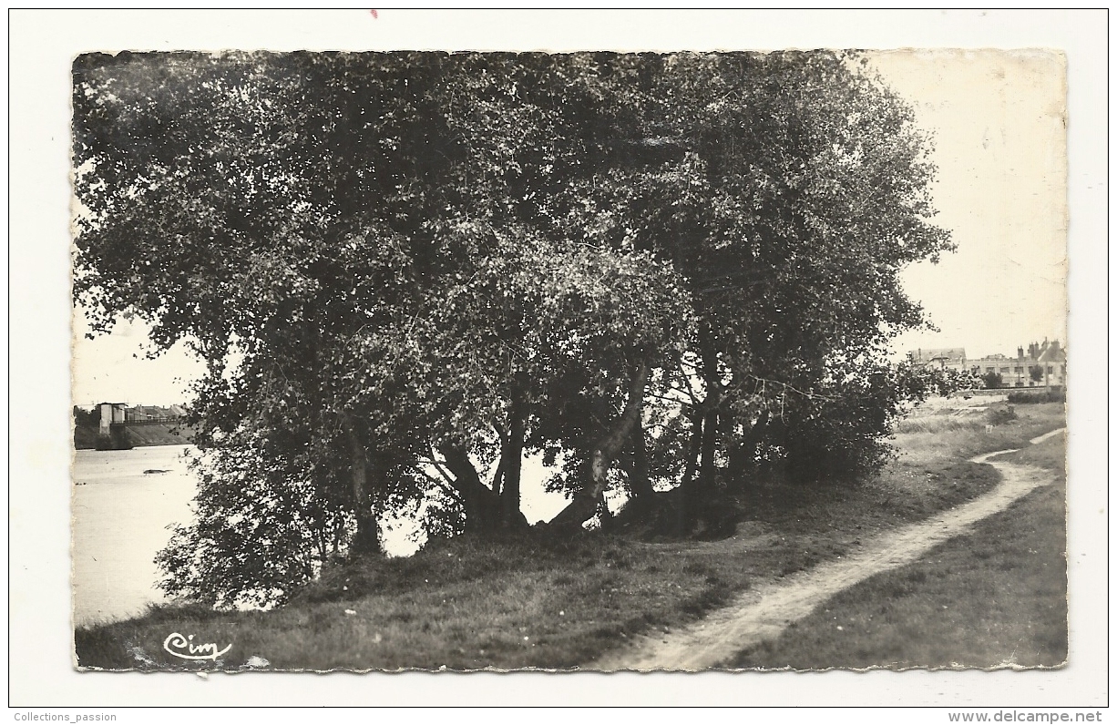 Cp, 45, Jargeau, Pormenade Sur Les Bords De La Loire - Jargeau