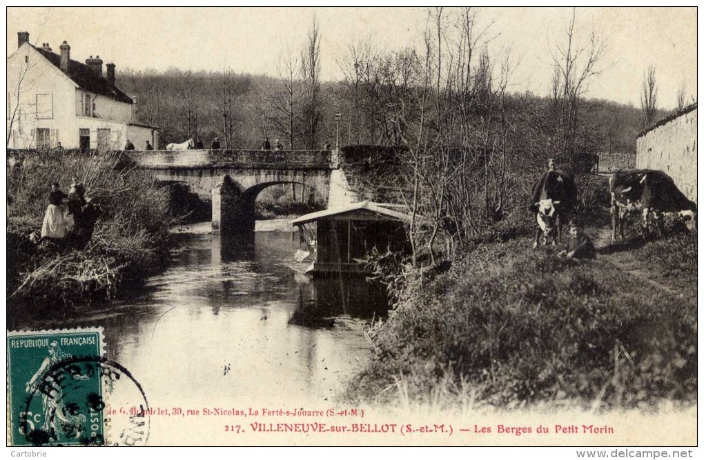 VILLENEUVE Sur BELLOT Les Berges Du Petit Morin Trèsc Animée,vaches Bateau-lavoir Photo BRINDELET - Other & Unclassified