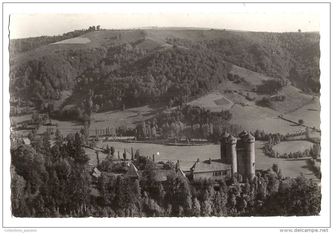 Cp, 15, Tournemire, Château D´Anjony, L´ensemble Des Constructions Vue Du Versant Nord De La Vallée De La Doire - Sonstige & Ohne Zuordnung