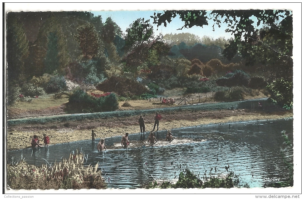 Cp, 63, St-Gervais-d'Auvergne, L'Etang, Voyagée 1958 - Saint Gervais D'Auvergne