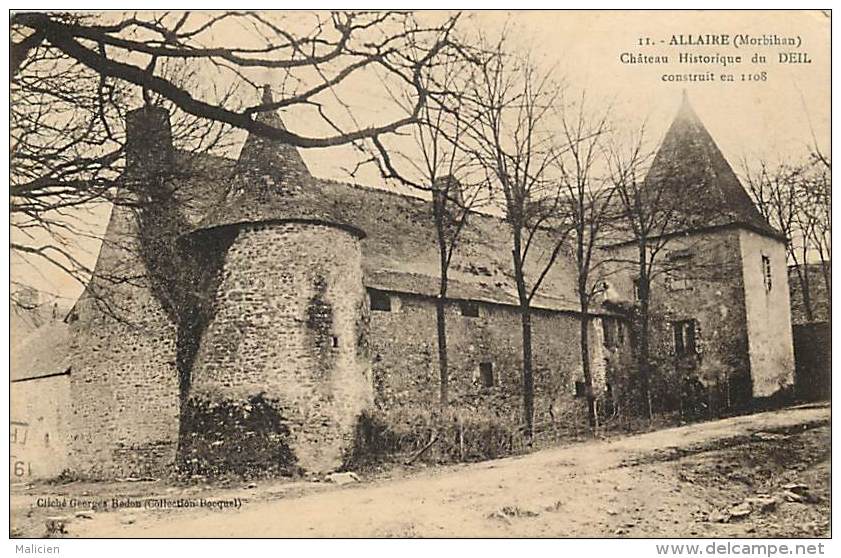 - Morbihan - Ref C496 - Allaire - Chateau Du Deil - Chateaux - Carte Bon Etat - - Allaire