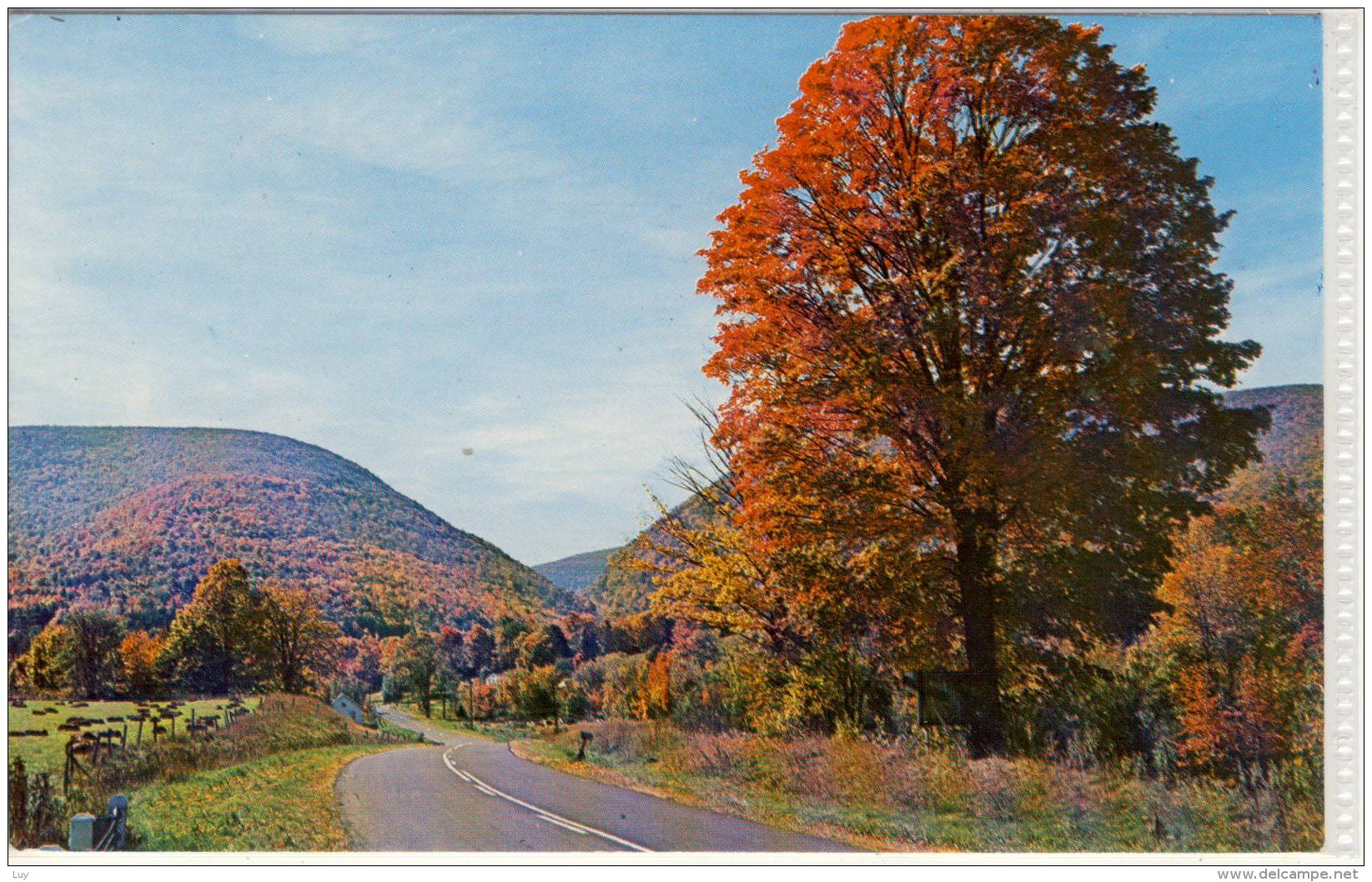 CATSKILL Mountains, N.Y. - Autumn View Of Westkill Notch, Airmail Stamp - American Roadside