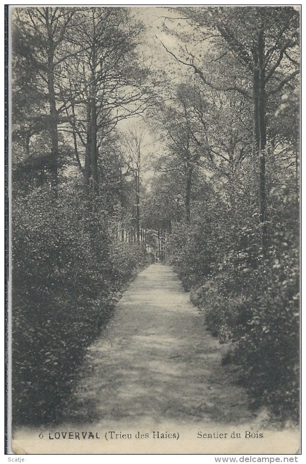 Loverval.  -  Sentier Du Bois.  -    1919  Naar  London - Celles