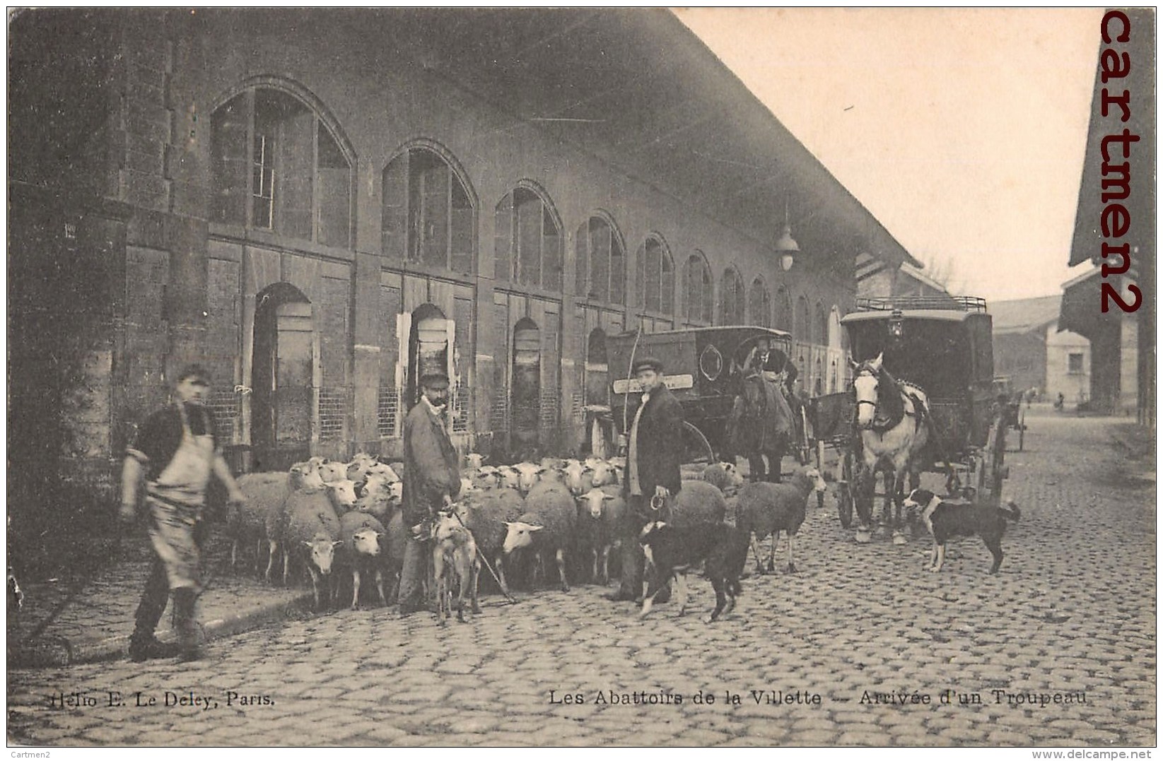 PARIS LES ABATTOIRS DE LA VILLETTE ARRIVEE D´UN TROUPEAU DE MOUTONS BOUCHER BOUCHERIE METIER 75019 - Distretto: 19