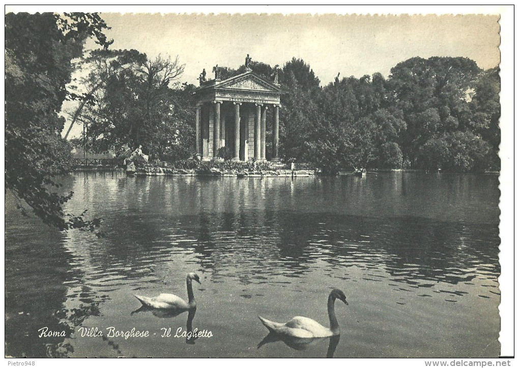 Roma (Lazio) Villa Borghese, Laghetto Con Cigni, The Little Lake, Le Petit Lac, Der See - Parques & Jardines