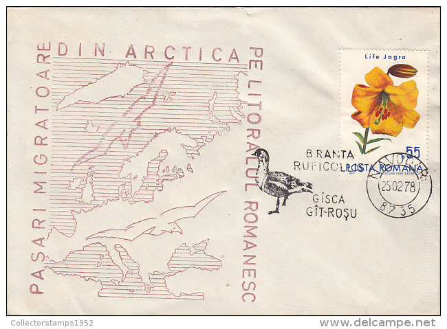 39738- RED BREASTED GOOSE, ARCTIC MIGRATING BIRDS, SPECIAL COVER, 1978, ROMANIA - Oies