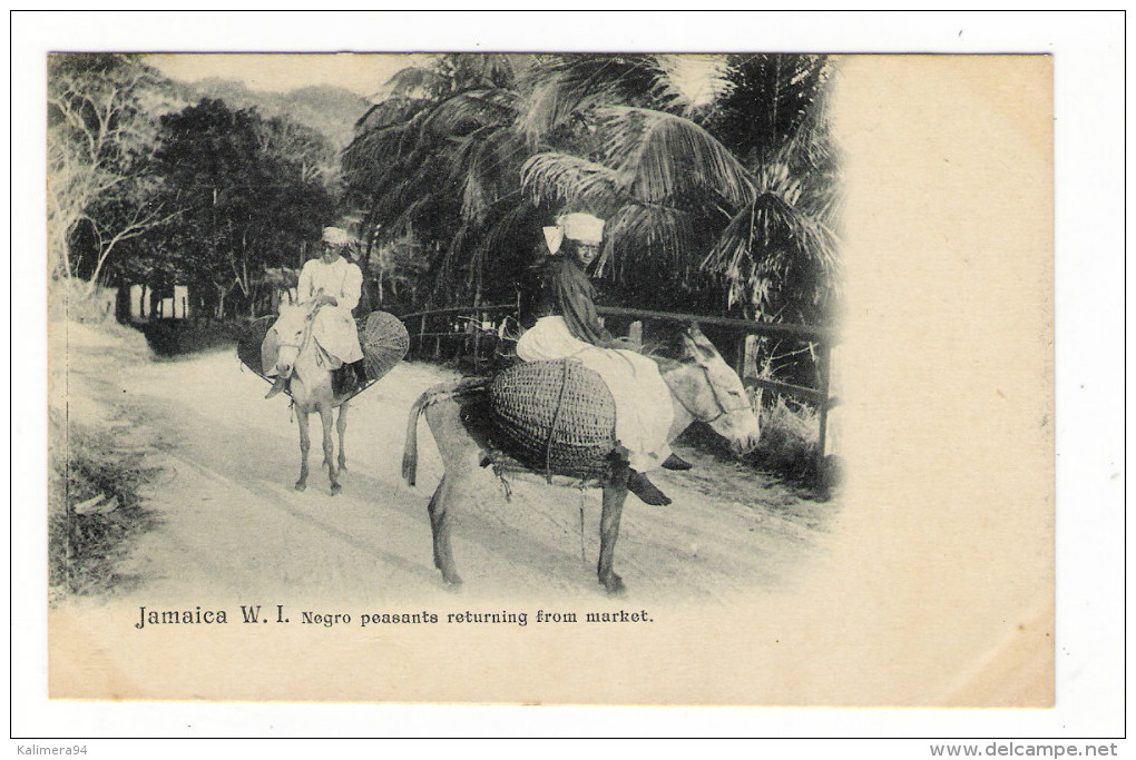 WEST  INDIES  /  JAMAICA  ( île De La JAMAÏQUE ) /  NEGRO  PEASANTS  RETURNING  FROM  MARKET ( ânes ) /  CPA PRECURSEUR - Jamaïque