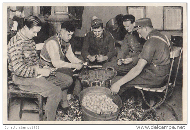 39921- HITLER, SOLDIERS COOKING, PICTURE CARD, HISTORY, ALBUM NR 8, IMAGE NR 59 - Histoire