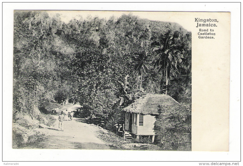 WEST  INDIES  /  JAMAICA  ( île De La JAMAÏQUE ) /  KINGSTON  /  ROAD  TO  CASTLETON  GARDENS  /  CPA PRECURSEUR - Jamaica