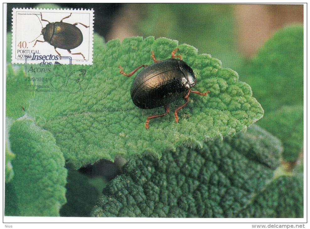 Portugal Acores 1984 Insect Insects Beetle Beetles Bug Bugs Maximum Card - Cartoline Maximum